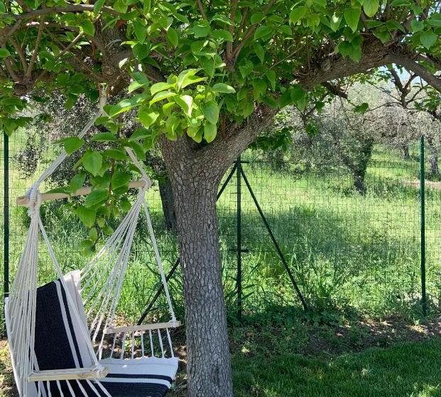 منتجع Controvento