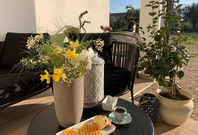 منتجع Controvento