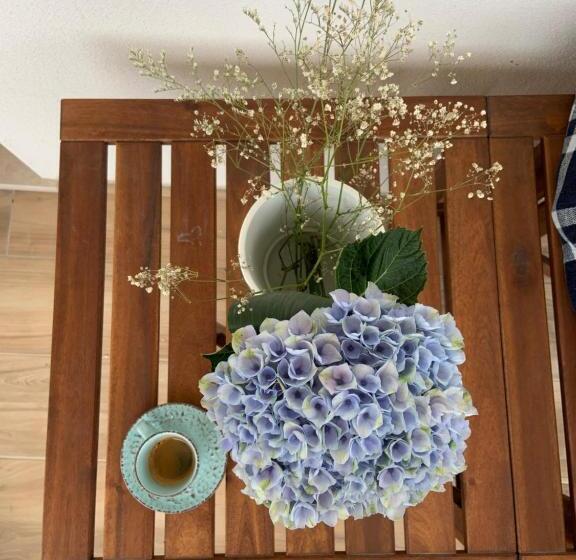 منتجع Controvento