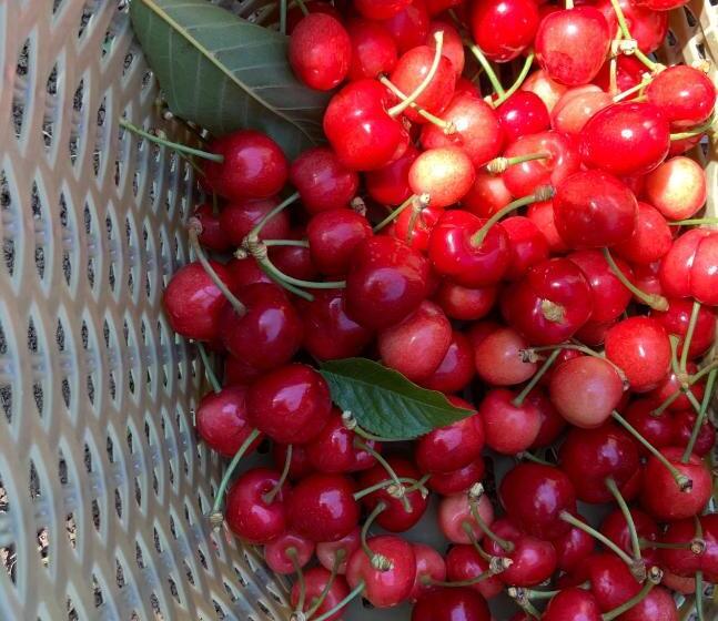 אתר נופש Controvento