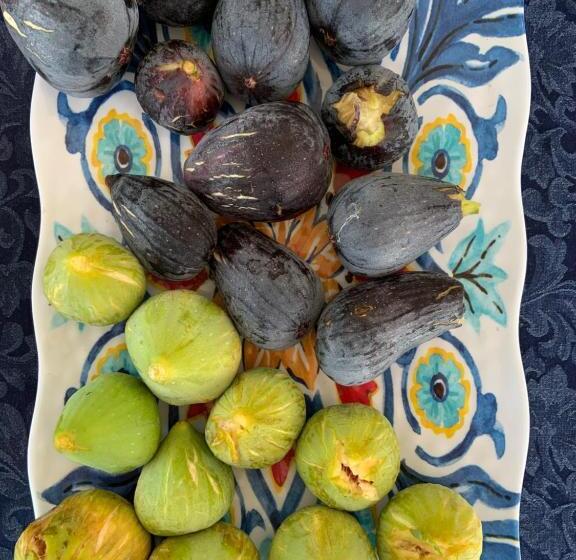 منتجع Controvento