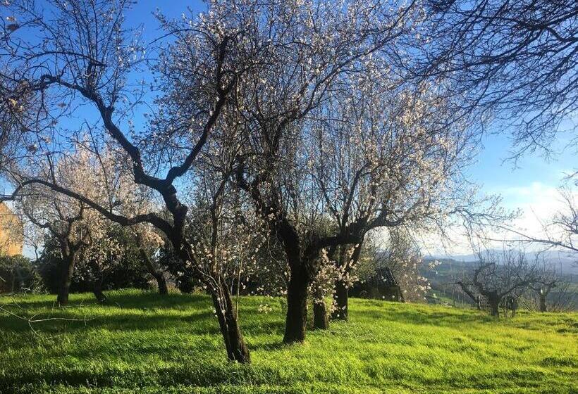 منتجع Controvento