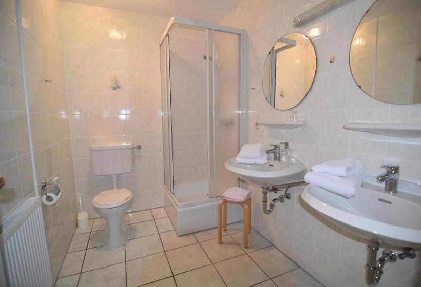 فندق صغير Gasthaus Deutsches Haus Garni