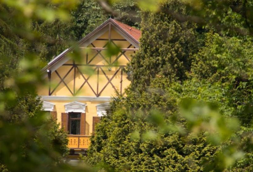 Bed and Breakfast Sasréti Vadászkastély Almamellék