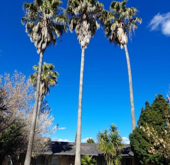 مبيت وإفطار Palms Lodge