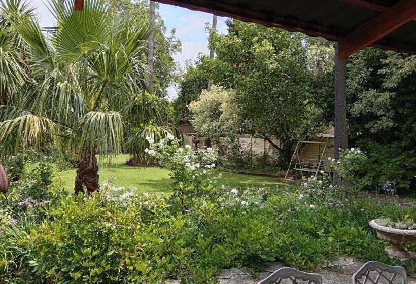 مبيت وإفطار Palms Lodge