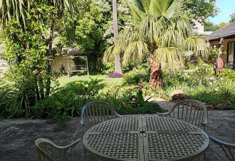 مبيت وإفطار Palms Lodge