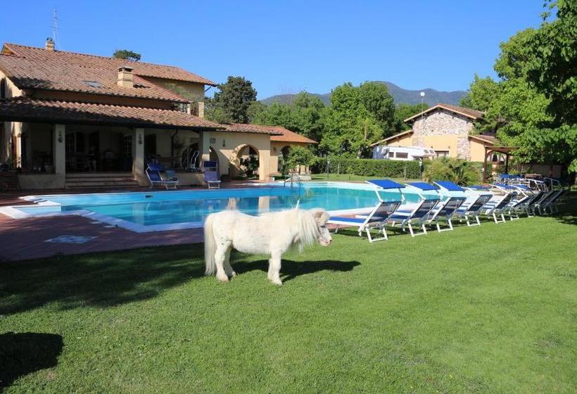 Bed and Breakfast Podere San Paolo