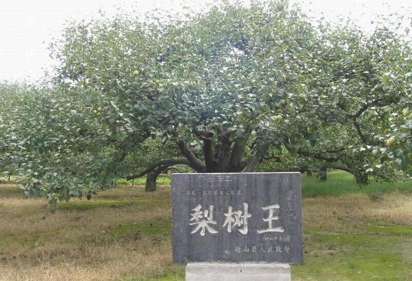 Hotel 7 Days Inn· Suzhou Development Zone