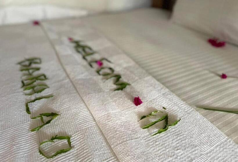 Отель Babalao Bungalows