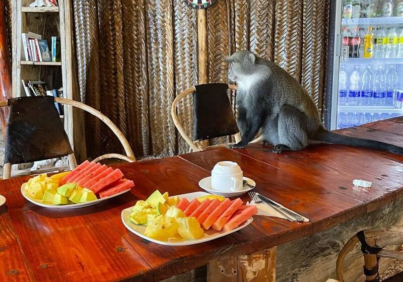 Отель Babalao Bungalows