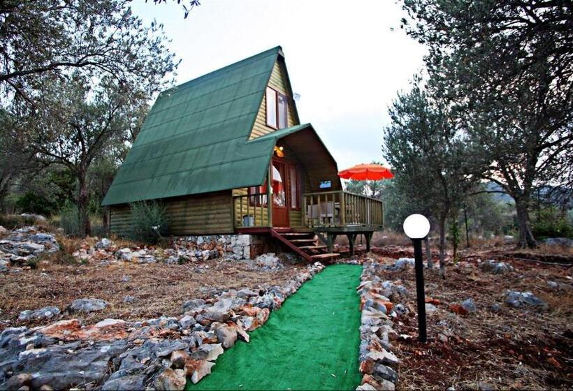 Hotel Kaş Hi̇story Li̇manağzi