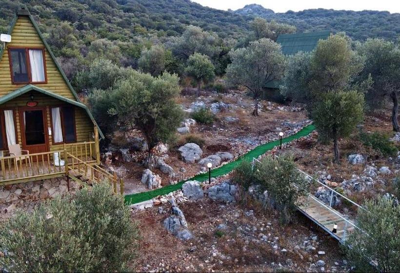 Hotel Kaş Hi̇story Li̇manağzi