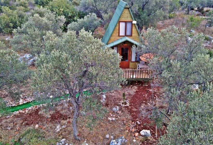 Hotel Kaş Hi̇story Li̇manağzi