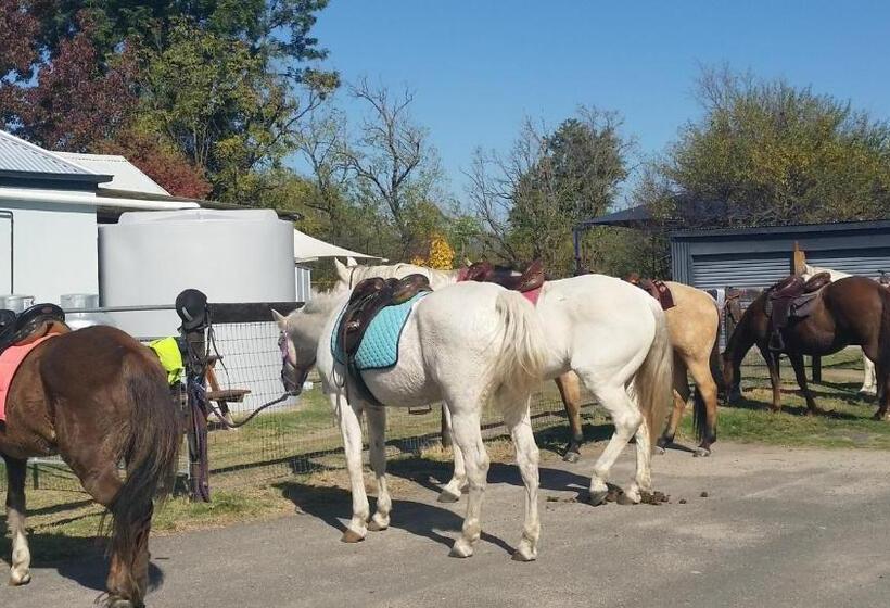 בית מלון כפרי Kootingal