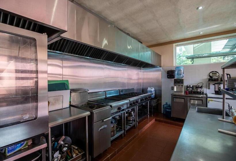 酒店 Puerto Vallarta South Shore Luxury Suites