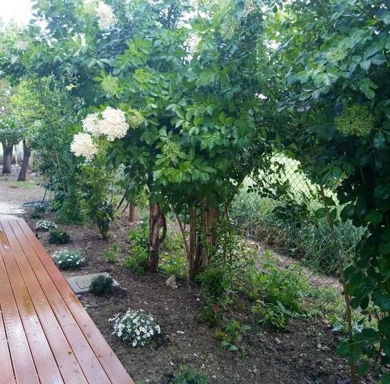 La Casa Di Tara B&b Armonia E Natura