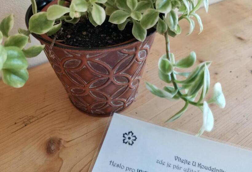 Panzió Apartmány U Koudelníka