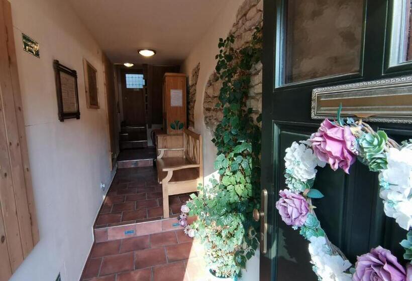 Panzió Apartmány U Koudelníka