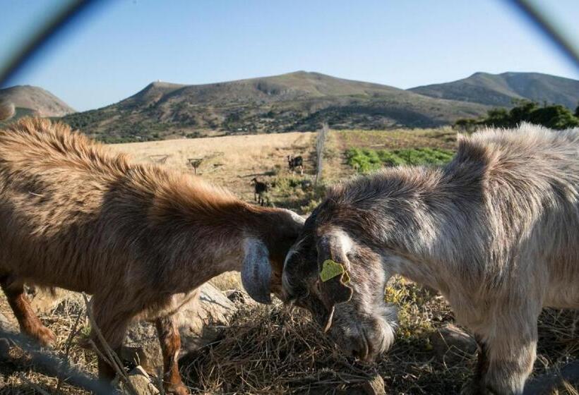 Курорт İmroz Kardamos