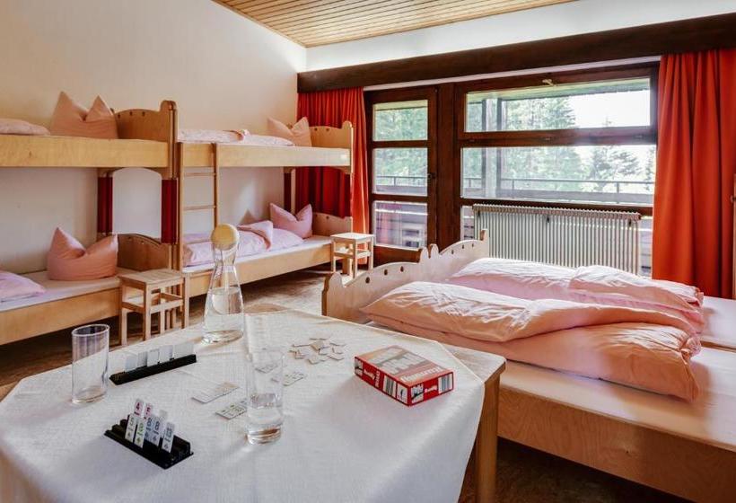 הוסטל Haus Gufl