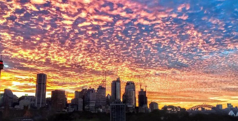 هاستل Zen Harmony House Sydney