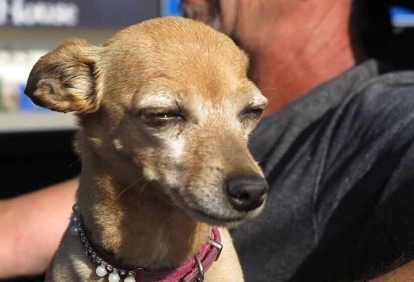 Christina Lake Motel And Rv Park