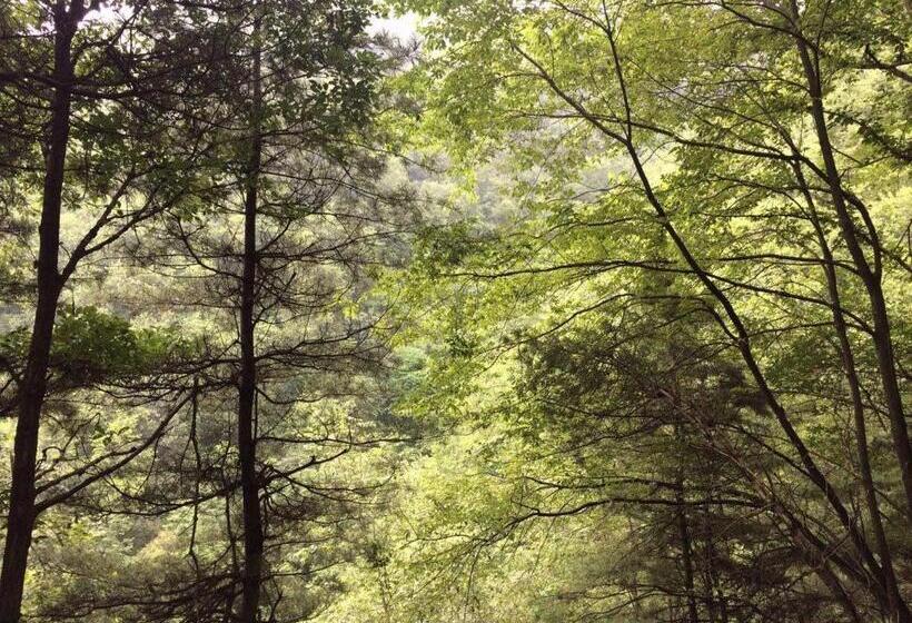 酒店 7days Inn Hanzhong Tianhan Avenue South Station