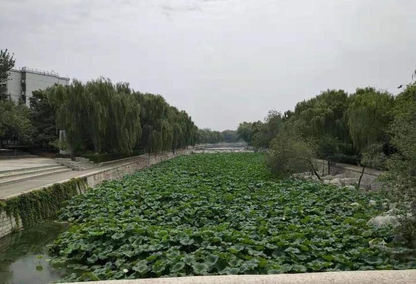 ホテル 7days Inn Tai`an Feicheng Mountain Road