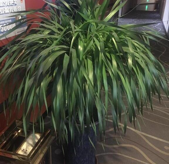 Hotel 7days Premium Huzhou Nanxun Ancient Town Branch