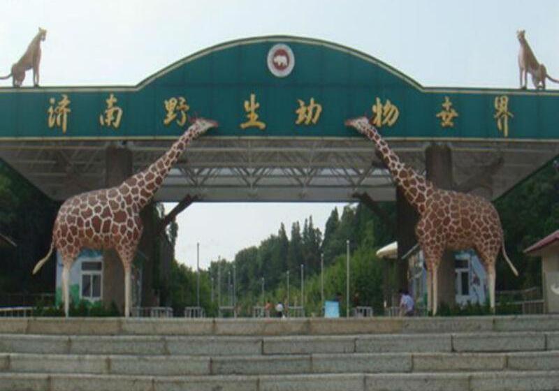 هتل 7days Premium Ji`nan Luokou Clothing City Wuying Hill North Road