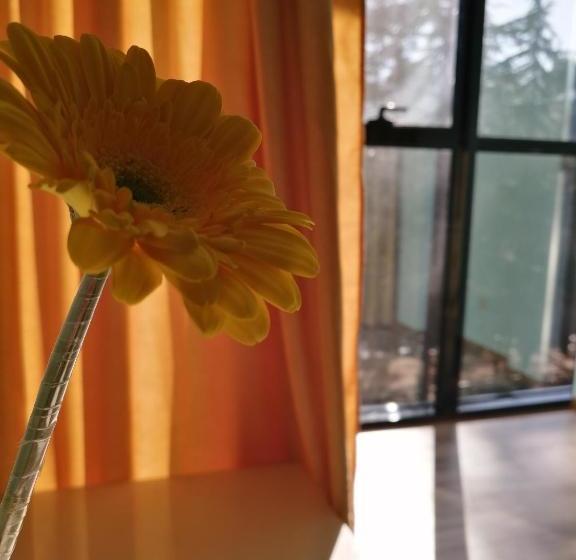 בית מלון כפרי Belleville