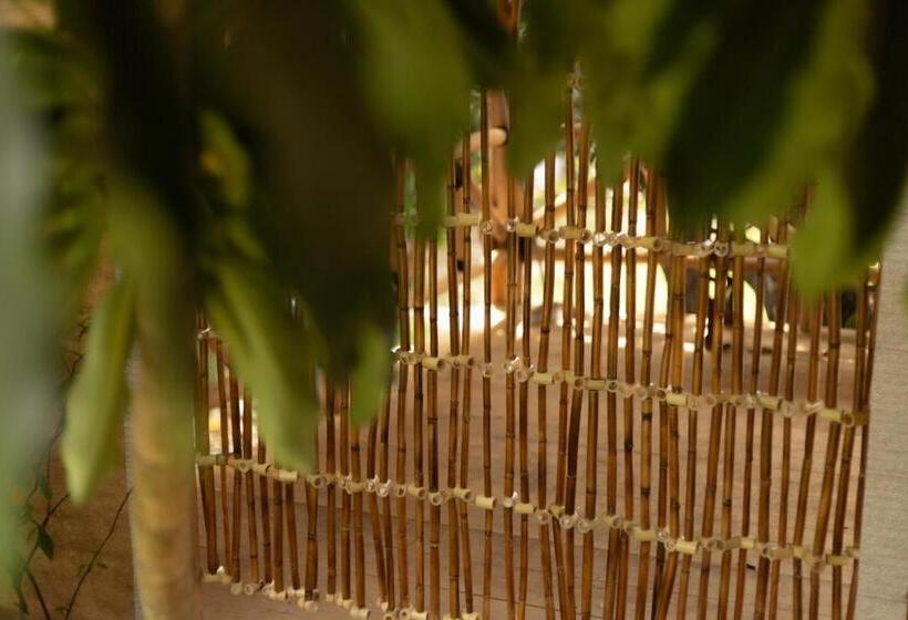 فندق Boutique Casa Copal