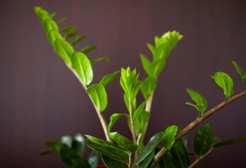 George Hotel Rooms&suites