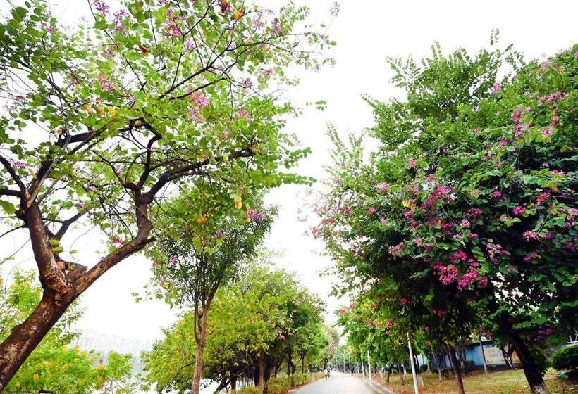 בית מלון כפרי Lavande  Dongguan Songshan Lake Huawei