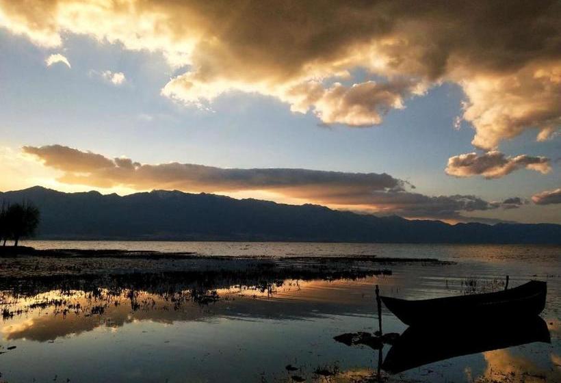 پانسیون 1979 Treeinn