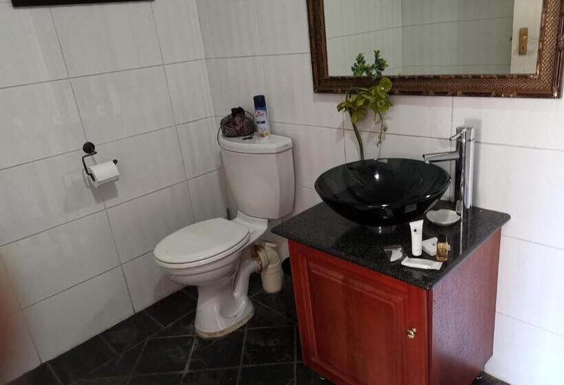 Пансион Erasmus Manor Guest House