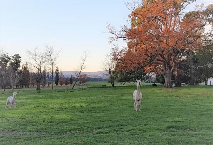 Bed and Breakfast Olinda Yarra Cottage