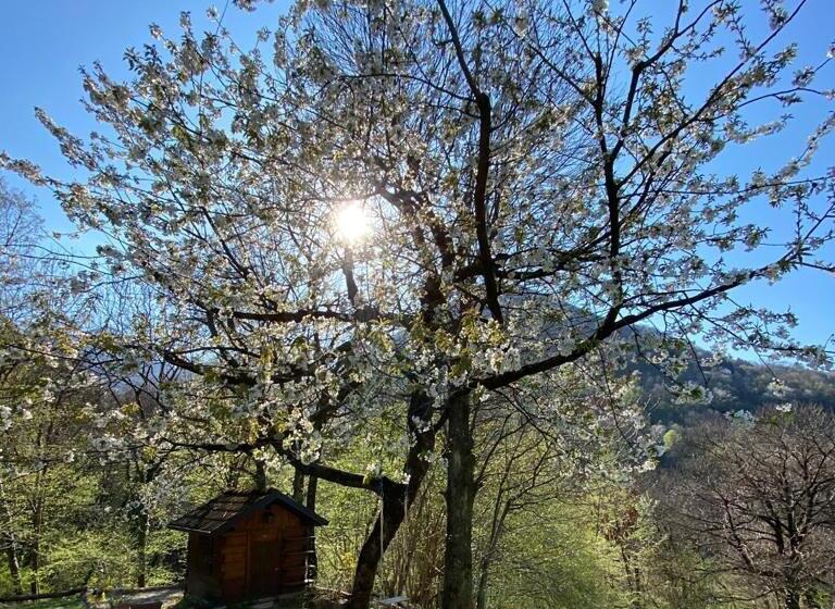 فندق Baita Eleonora