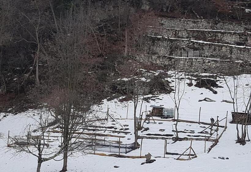 فندق Baita Eleonora