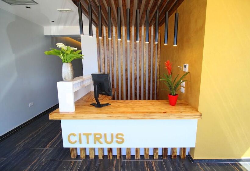 Отель Citrus