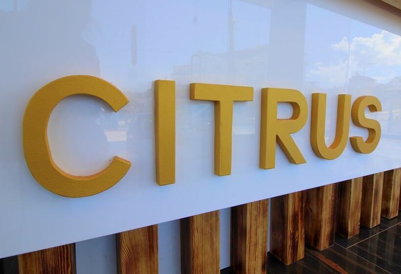 Отель Citrus