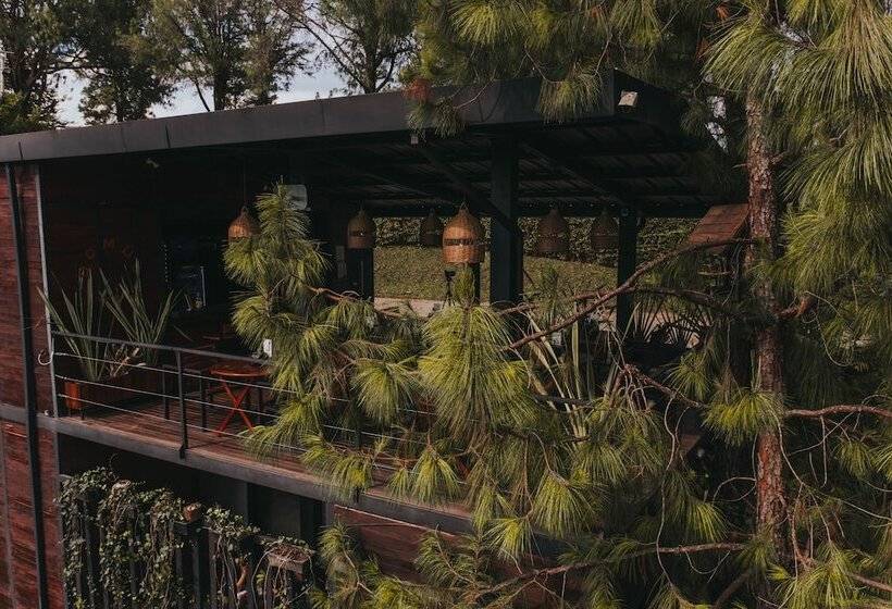 호텔 Domus Glamping Guatapé