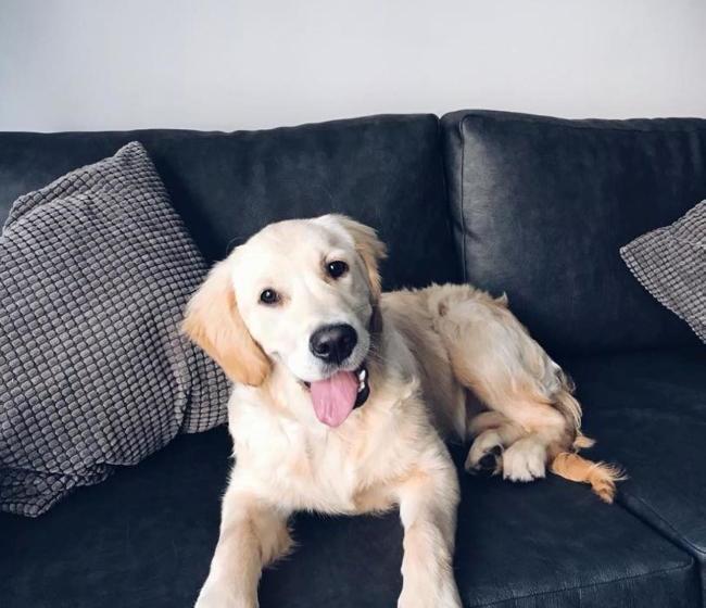 호텔 Dream Apartments Middlesbrough