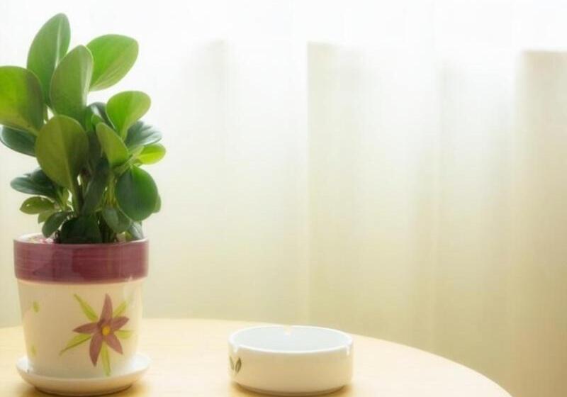 酒店 Greentree Inn Nantong Qidong Binhai Industrial Park Nanhai Roadexpress