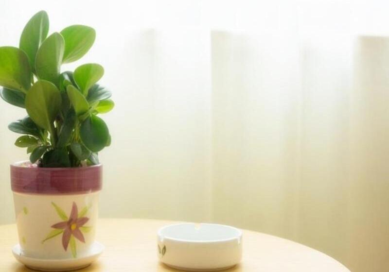 فندق Greentree Inn Nantong Qidong Binhai Industrial Park Nanhai Roadexpress