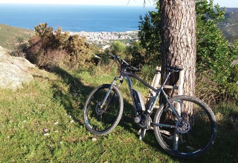 בית מלון כפרי Malibu