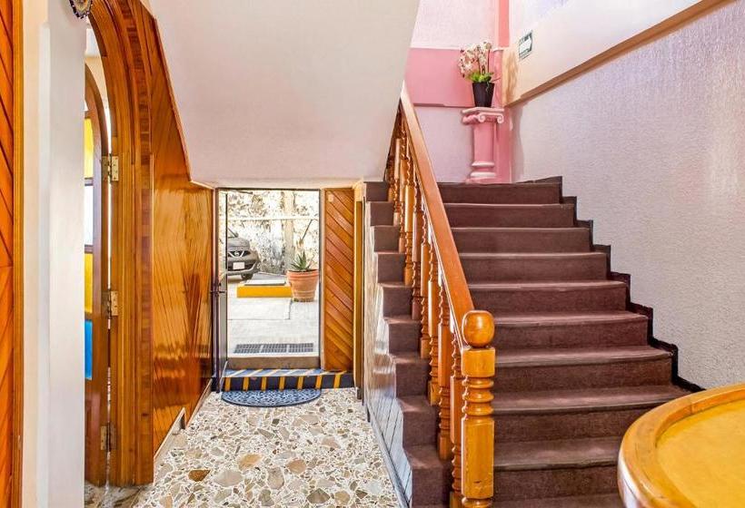 Отель Mansion Humboldt