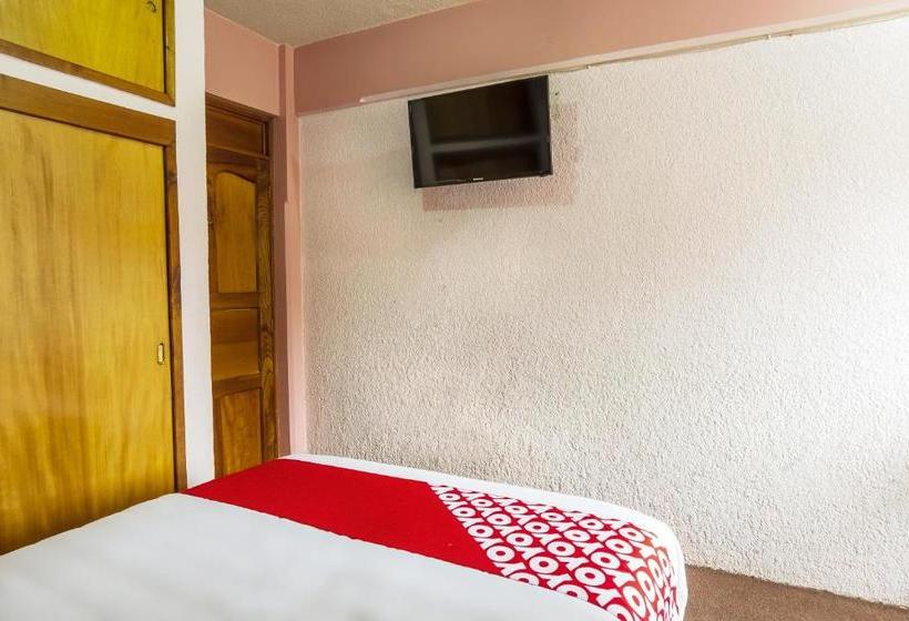 Отель Mansion Humboldt