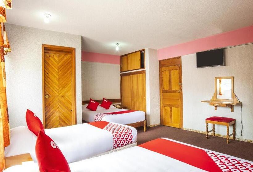 Отель Mansion Humboldt